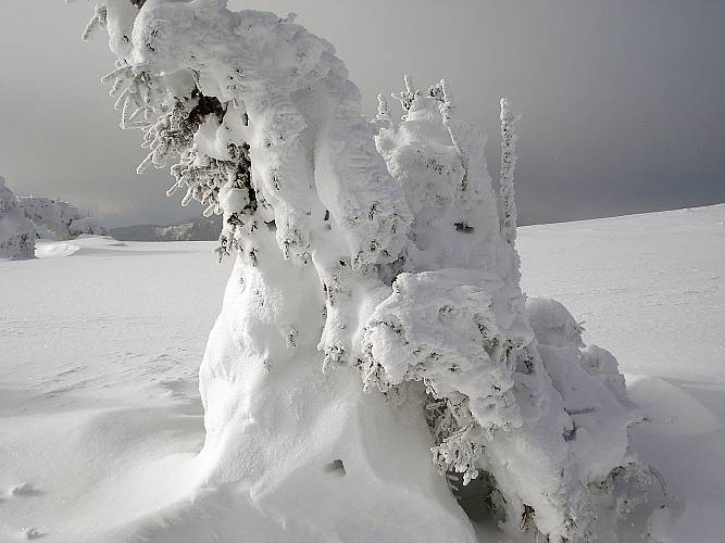 20 Schoene Figuren aus Schnee